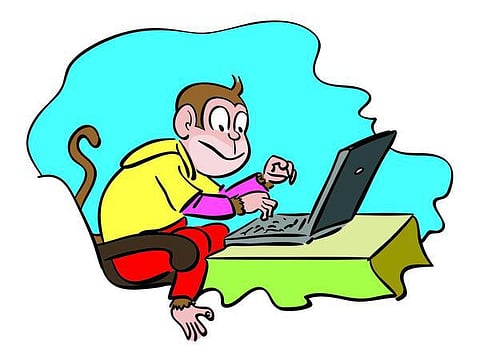 டிங்குவிடம் கேளுங்கள்: பல்லி ஏன் கீழே விழுவதில்லை?