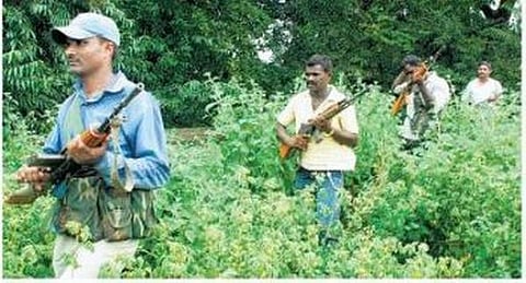 ஜார்கண்டில் இரு மாவோயிஸ்ட்டுகள் சுட்டுக்கொலை
