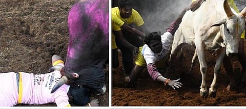 பேசும் படம்: அலங்காநல்லூர் அமர்க்களம்