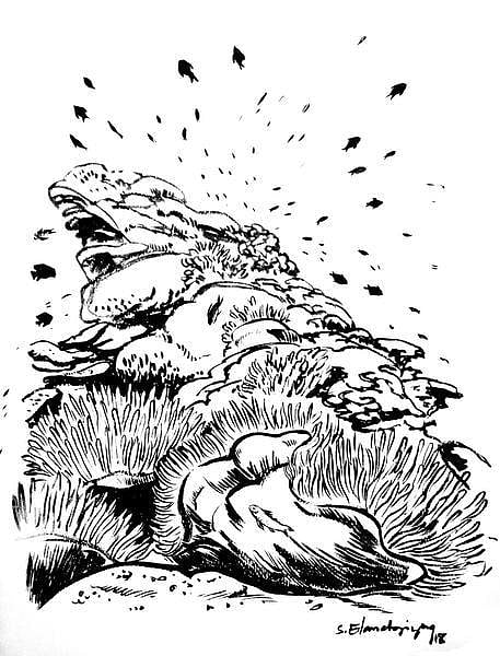 கடலம்மா பேசுறங் கண்ணு 37: பவளப் புற்றுகள்!