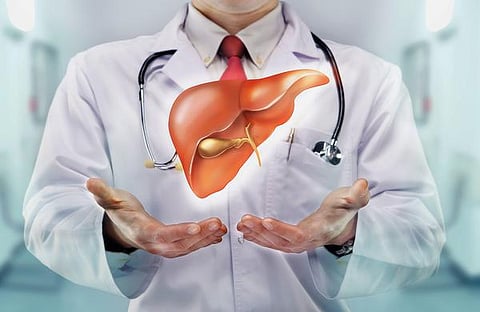 உடல் எனும் இயந்திரம் 7: சத்துகளை அள்ளித் தரும் வள்ளல்!