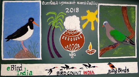 கோலப் பறவைகள்