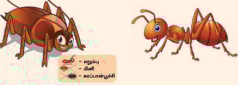 படமும் கதையும்: நட்சத்திர விருந்து