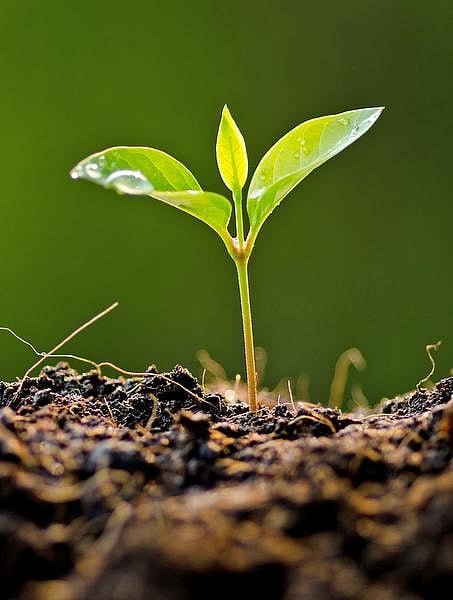 தொட்டனைத்து ஊறும் அமிழ்தம் 70: மண் நலமும் உயிர் வளமும்