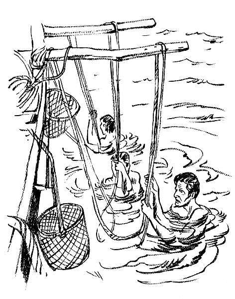 கடலம்மா பேசுறங் கண்ணு 41: முத்துக் குளித்துறை