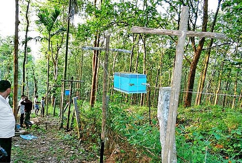 யானை வரவைக் கட்டுப்படுத்தும் தேனீ வேலி