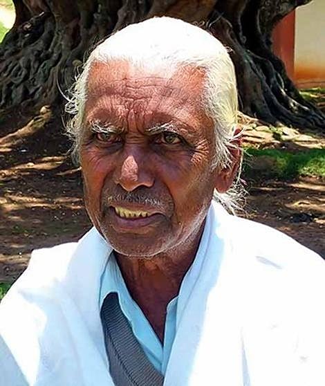 கோத்தர் இன குலதெய்வம் ‘சேலமரம்’