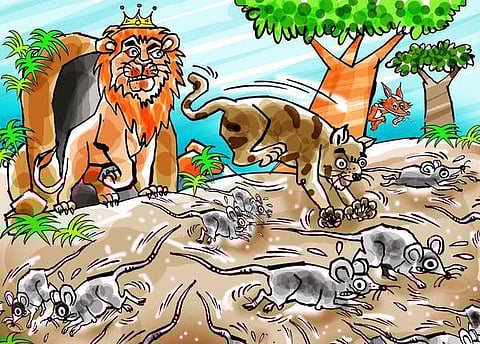 கதை: சிங்கம் கொடுத்த பரிசு!