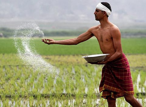 தொட்டனைத்து ஊறும் அமிழ்தம் 76: செலவற்ற உயிரி உரங்கள்