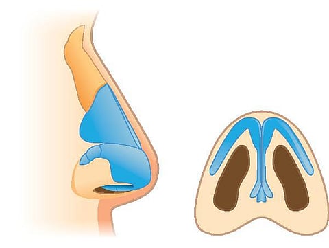 உடல் எனும் இயந்திரம் 17: ஆஹா, என்ன வாசனை!