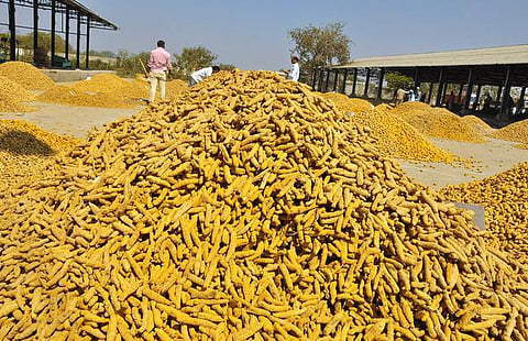 ஈரோடு மஞ்சள் மண்டி முறைகேடுகள் குறித்து தமிழ்நாடு விவசாய ஆணையர் விசாரணை