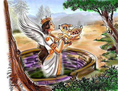 கிணற்றில் விழுந்த நரி!