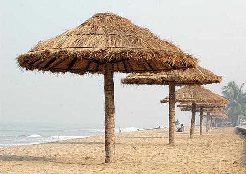 கற்பகத் தரு 02: கிரீடமான பனை நார்