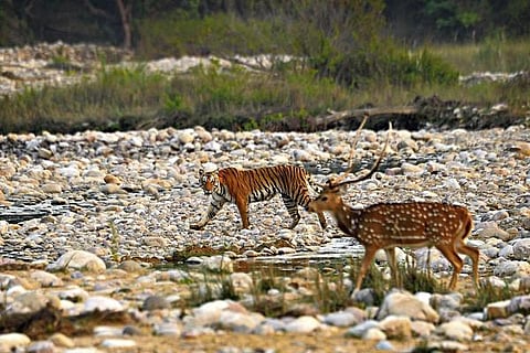 இயற்கையைத் தேடும் கண்கள் 03: கண்ணும் கண்ணும் நோக்கியா!