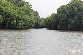 பிச்சாவரம் போலாமா?