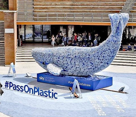 கடலைக் காப்பாற்ற ஒரு திமிங்கலம்!