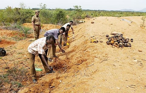 கற்பக தரு 04: எப்படிப் போட்டாலும் முளைக்கும்