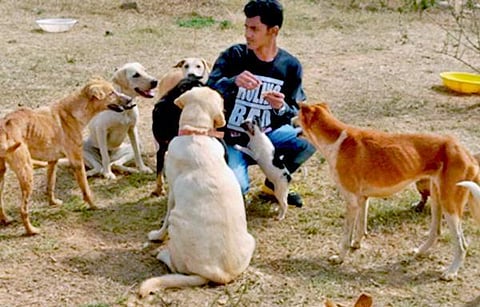 நாய்களிடம் நன்றி காட்டுபவர்!