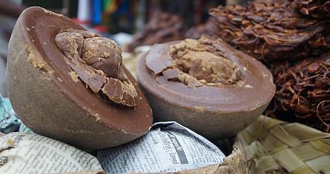 கற்பகத் தரு 06: கருப்பட்டிகளின் அரசன்