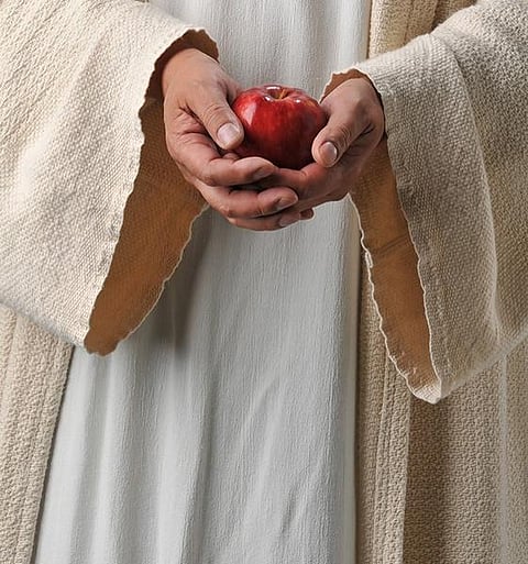 கிறிஸ்துவின் தானியங்கள்: ஆலயம் தேடி ஓடத் தேவையில்லை!