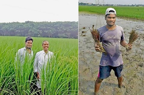 நெல் நட்டேன்; நல்வாழ்வு பெற்றேன் - புதிய தலைமுறை விவசாயியின் அனுபவம்