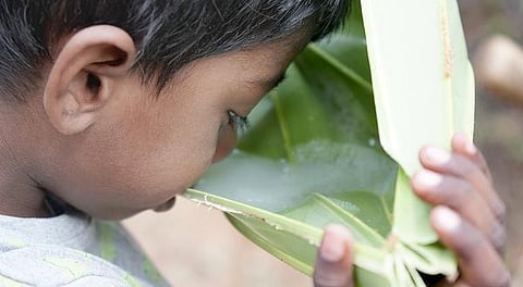 கற்பகத் தரு 07: முதல் உணவுப் பாத்திரம்