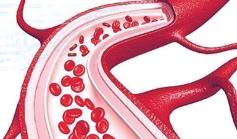 உடல் எனும் இயந்திரம் 25: உடலில் பாயும் நதி