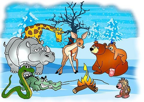 இடம் பொருள் மனிதர் விலங்கு: முள்ளம்பன்றி சொன்ன யோசனை