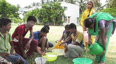 பள்ளிக்கு வரும் பறவைகள்.. ‘இரை’ பணியில் மாணவர்கள்..