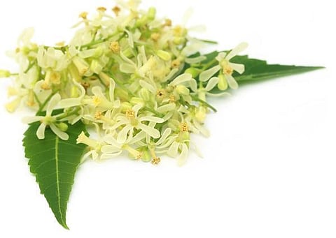 நல்லன எல்லாம் தரும் முக்கூட்டுப் பொடி