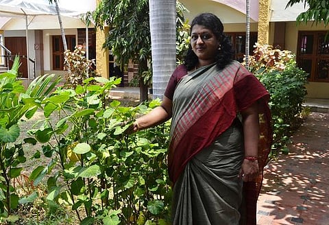 ஜூன் 5 உலகச் சுற்றுச்சூழல் நாள்: மரம் நடுவதுகூடப் பிரச்சாரம்தான்!