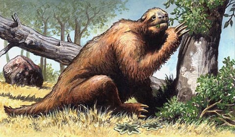 உதவும் குணத்தின் ஆதிச்சுவடுகள்