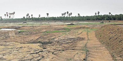 30 ஏக்கருக்கு மேல் இருந்தால் உபரி நிலம்: நில உச்சவரம்பு சட்டத்தை அமல்படுத்த  அரசு தீவிரம்; பதிவேடுகள் சரிபார்ப்பு பணியில் வருவாய்த் துறையினர்