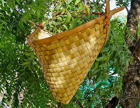 கற்பக தரு 12: நீர் வார்க்கும் வட்டி