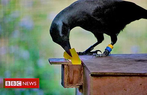 தளம் புதிது: குறிப்பு எழுத அழைக்கும் தளம்