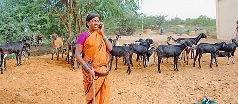 வாய்ஸ் மெயிலும்.. ஆட்டுக்கார அலமேலுக்களும்..!- போடியில் சாதிக்கும் பெண்கள்