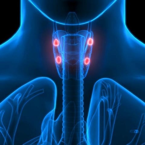 உடல் எனும் இயந்திரம் 32: பாம்பைக் கண்டால் பயந்து ஓடுவது ஏன்?