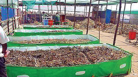 தொட்டனைத்து ஊறும் அமிழ்தம் 92: மாசு ஏற்படுத்தாத மண்புழுக்கள்