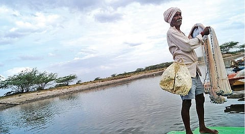 கற்பக தரு 15: மீன்களை ‘பறி’ கொடுக்காமலிருக்க…