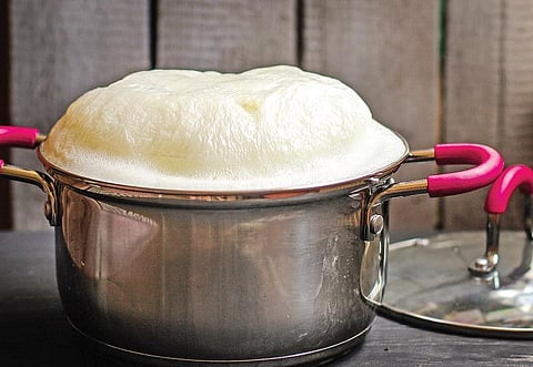 டிங்குவிடம் கேளுங்கள்: மண்புழு உழவர்களின் நண்பனா?