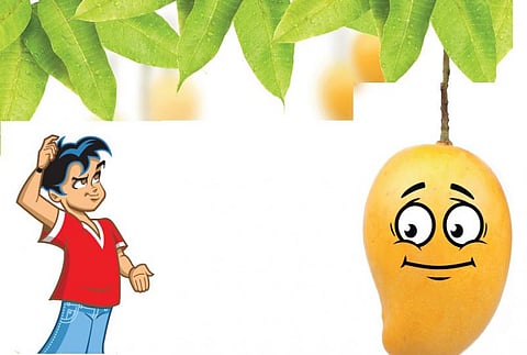 படமும் கதையும்: ஒரு குடம் தண்ணீருக்கு ஒரு மாம்பழம்