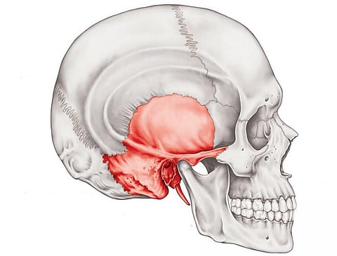 உடல் எனும் இயந்திரம் 37: உடலின் தலைமைச் செயலகம்!