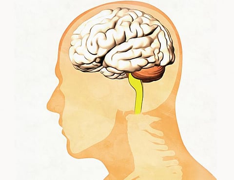 உடல் எனும் இயந்திரம் 38: அறிவு தரும் அமைச்சகம்!