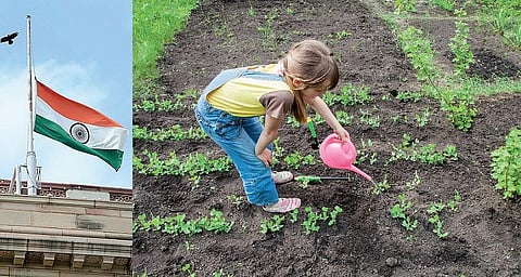 டிங்குவிடம் கேளுங்கள்: தேசியக் கொடி அரைக் கம்பத்தில் பறப்பது ஏன்?