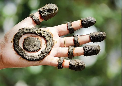 மூலிகையே மருந்து 23: மருதாணி… மருதாணி… 