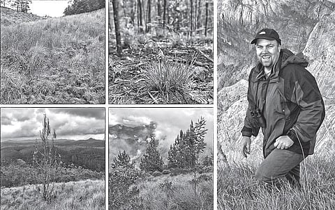 வானகமே இளவெயிலே மரச்செறிவே 14: முருகனின் மலைகள்