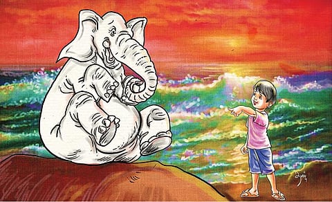 உப்பளத்துக்கு வந்த வெள்ளை யானை!﻿