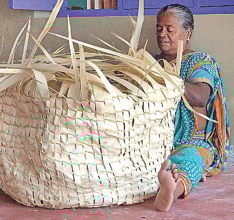 கற்பக தரு 25: மீன் அள்ளும் ஒமல்