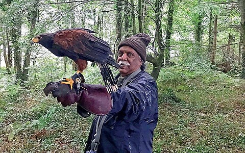 வானகமே இளவெயிலே மரச்செறிவே 16: வேட்டை வல்லூறு