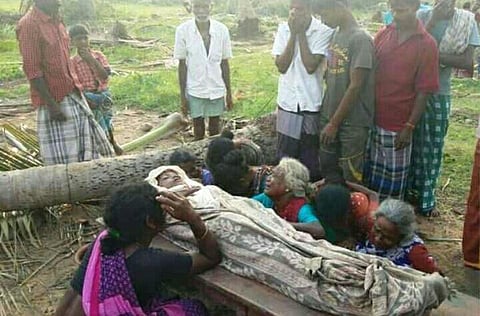 கஜா புயல் சோகம்: பருவமடைந்ததால் தோப்பில் தனியாக தங்க வைக்கப்பட்ட சிறுமி 
தென்னை மரம் விழுந்து பரிதாப மரணம்